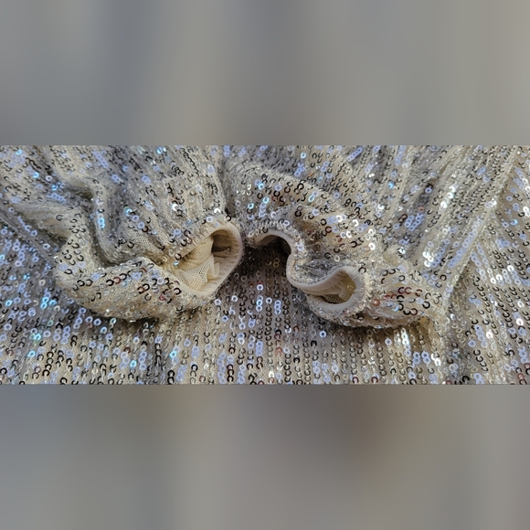 Z SUPPLY Sequin Mini Dress Size M Silver Lined NWT Style ZD234255S RN135090 - Picture 3 of 11